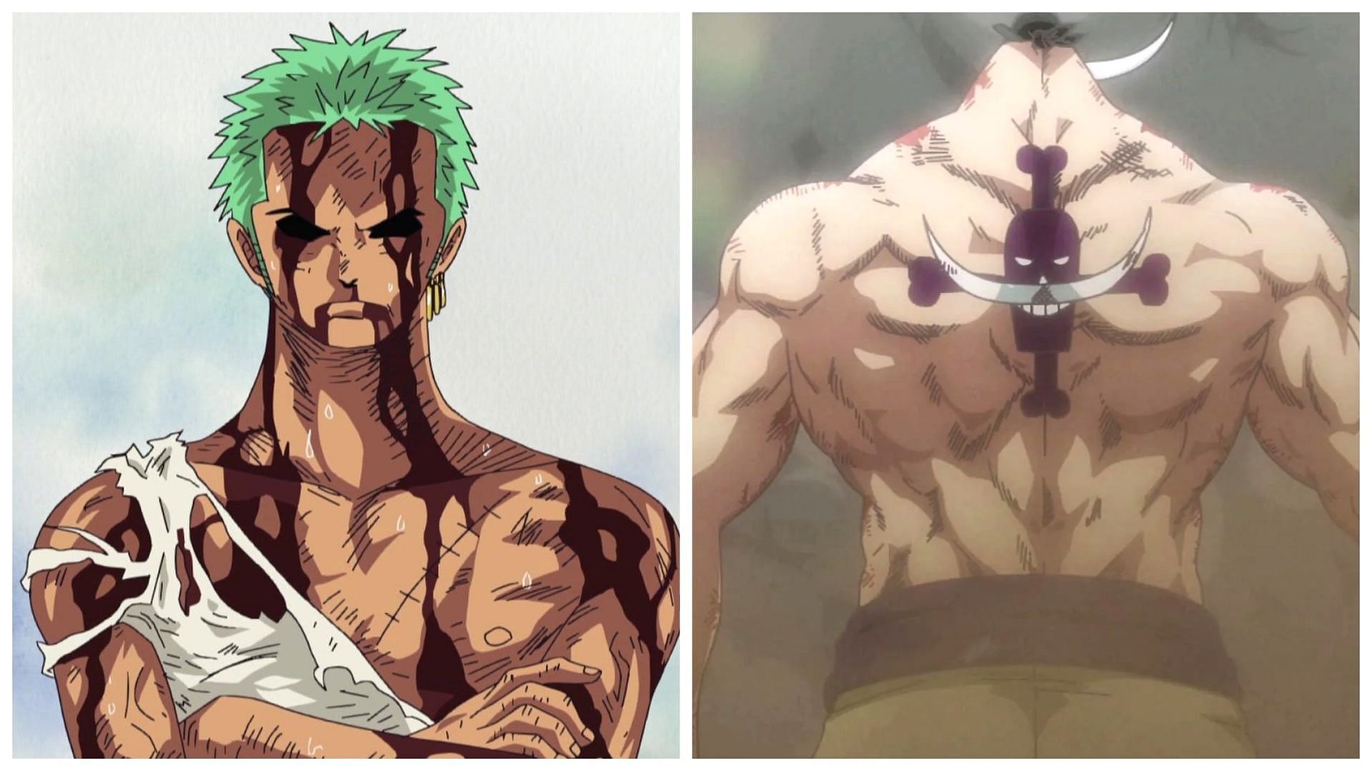 Zoro and Whitebeard have unreal endurance (Image via Toei Animation)